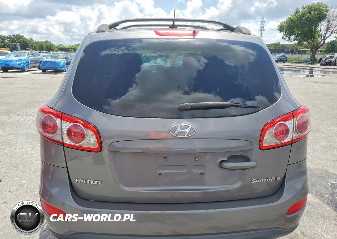 2010 Hyundai Santa Fe Gls VIN:5NMSG3AB0AH400714 - 6