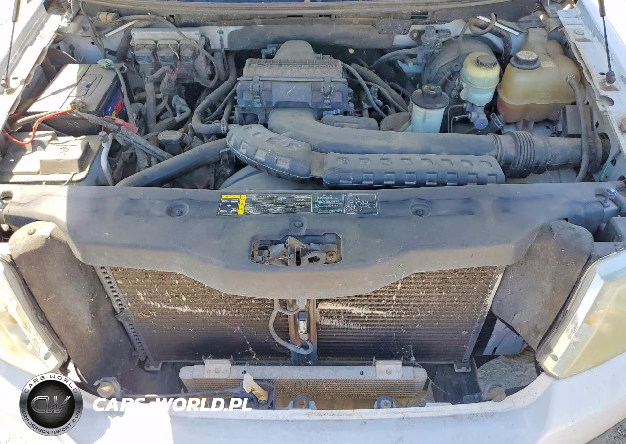 2004 Ford F150 VIN:1FTRX12514KC09808 - 11