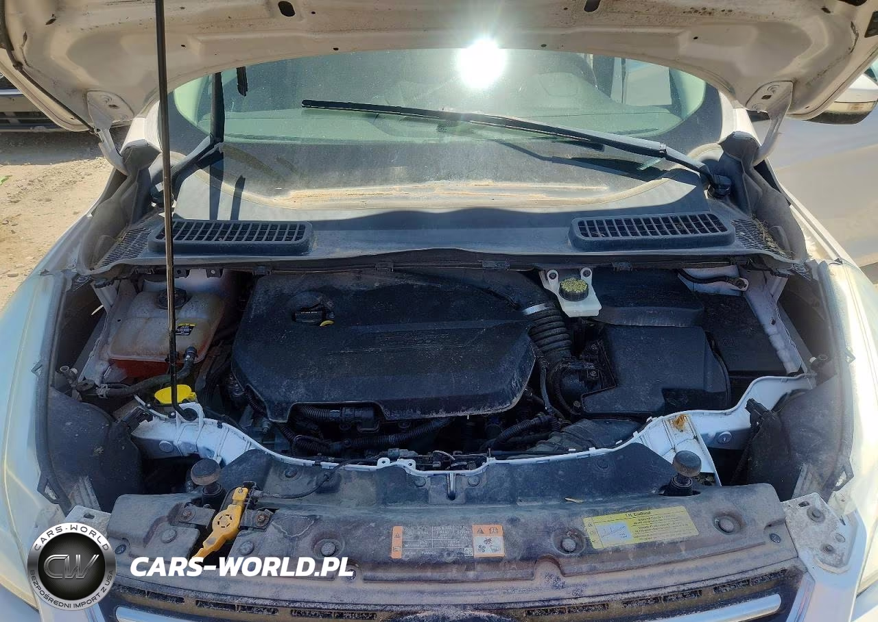 2013 Ford Escape Sel VIN:1FMCU0HX4DUB36502 - 11
