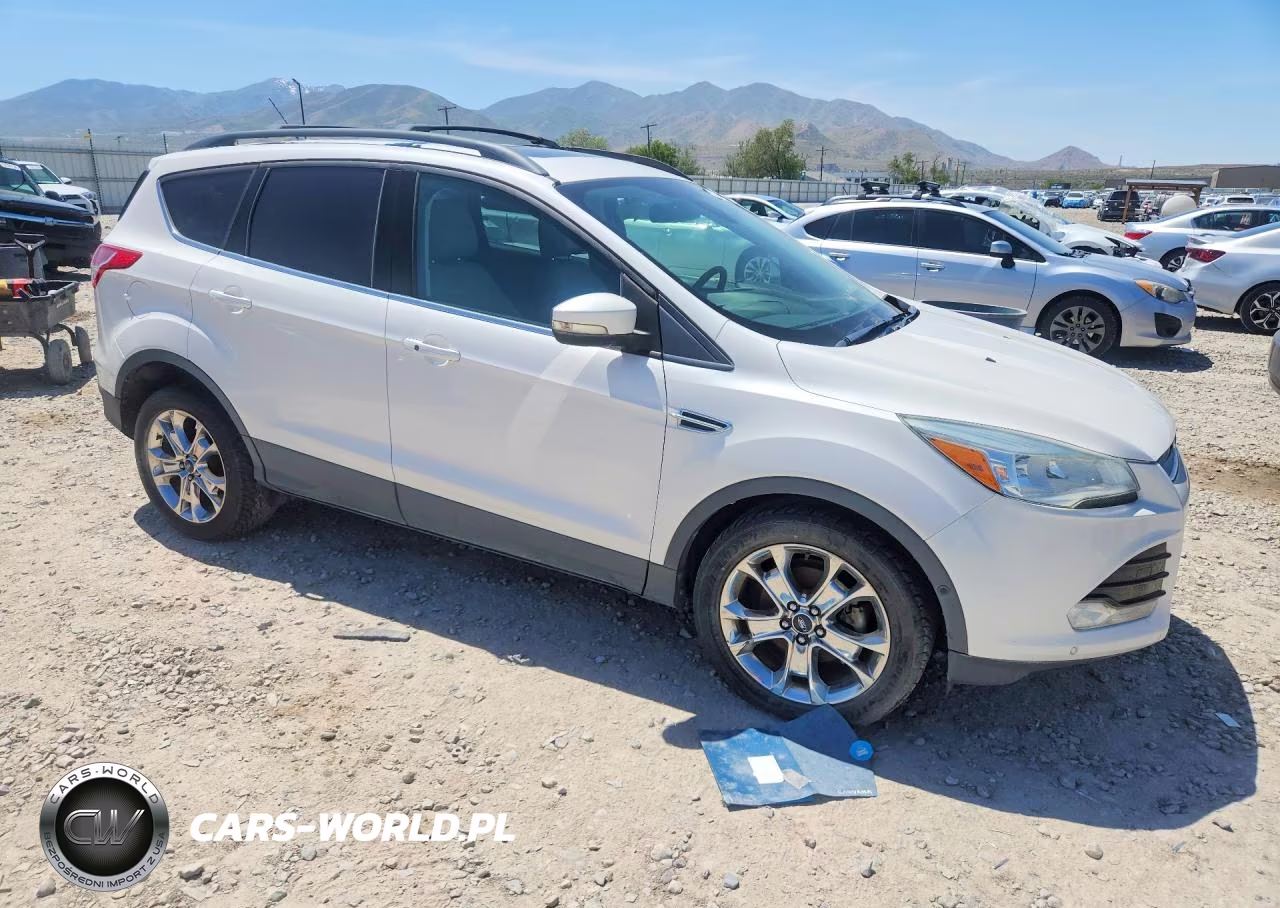 2013 Ford Escape Sel VIN:1FMCU0HX4DUB36502 - 4