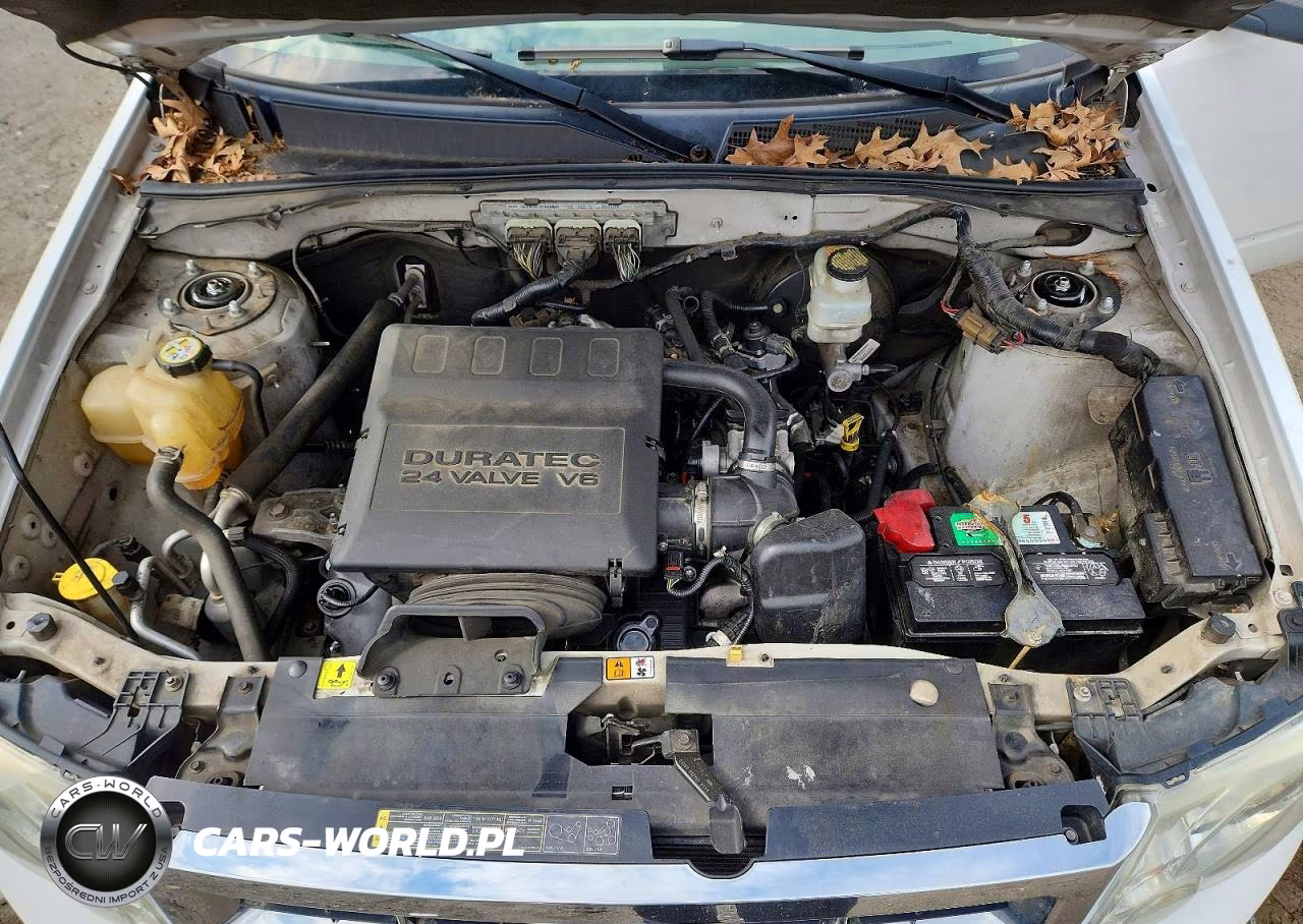 2009 Ford Escape VIN:1FMCU93G49KA86196 - 12