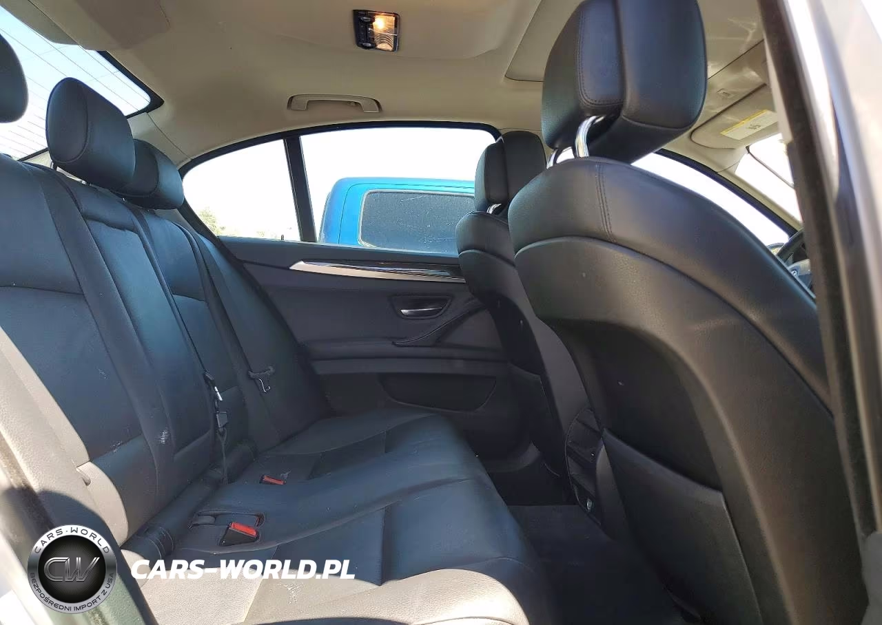 2013 BMW 528 Xi VIN:WBAXH5C52DDW16838 - 10