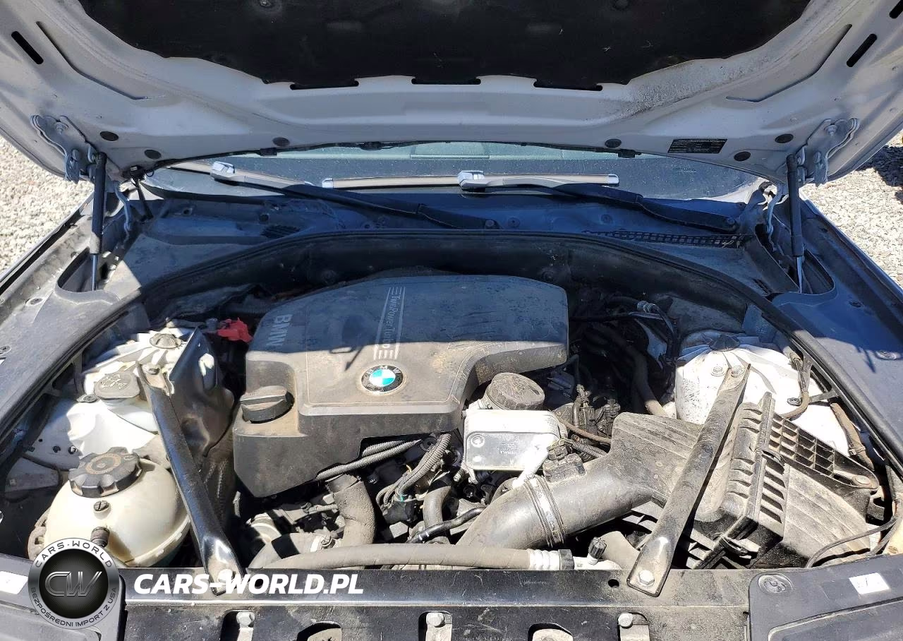 2013 BMW 528 Xi VIN:WBAXH5C52DDW16838 - 11