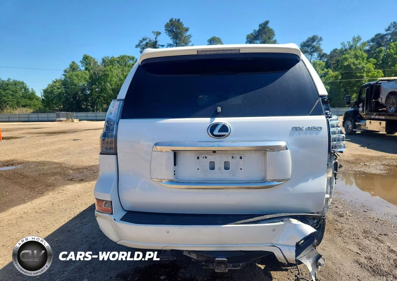 2021 Lexus Gx 460 Premium VIN:JTJAM7BX1M5301667 - 6