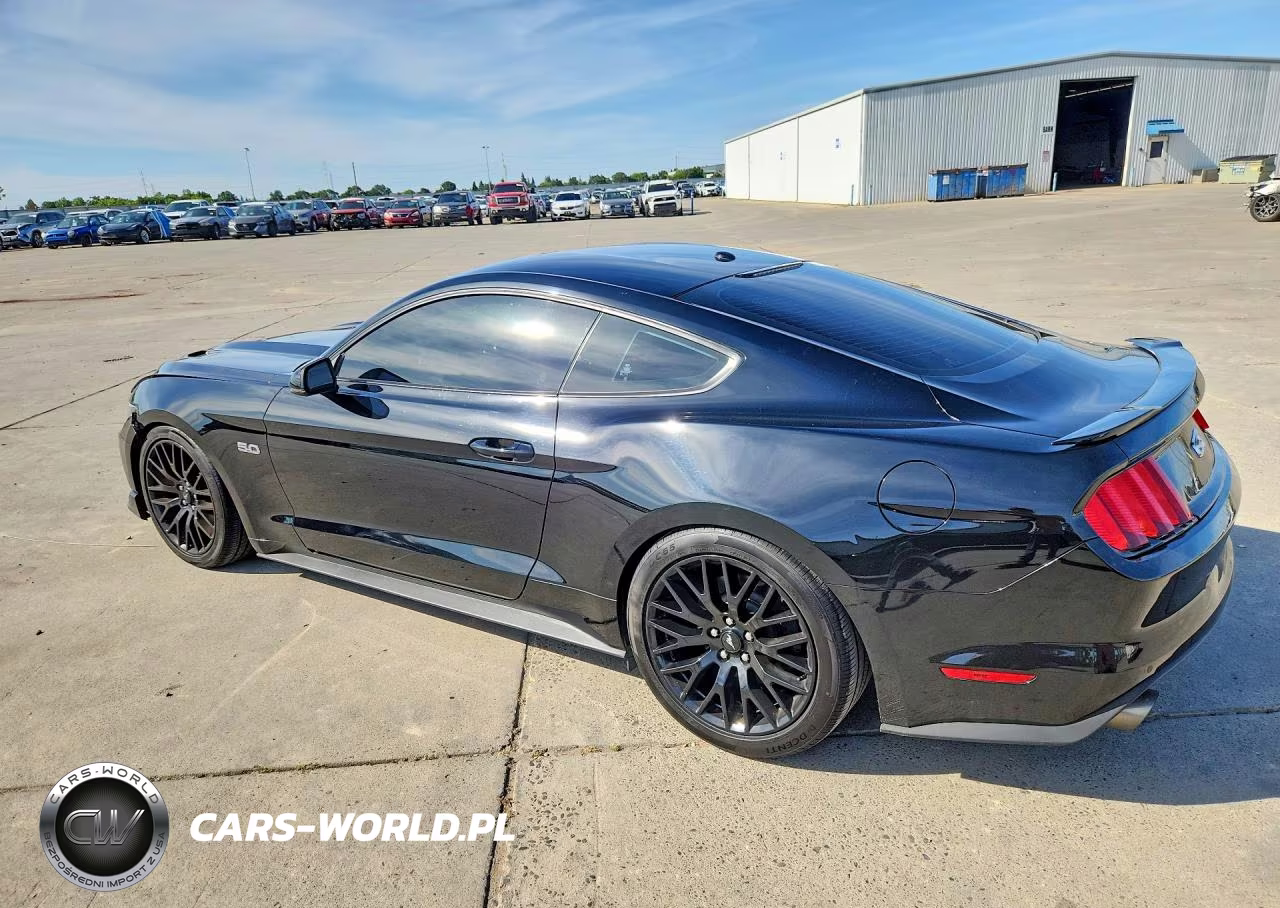 2017 Ford Mustang Gt VIN:1FA6P8CF0H5250587 - 2