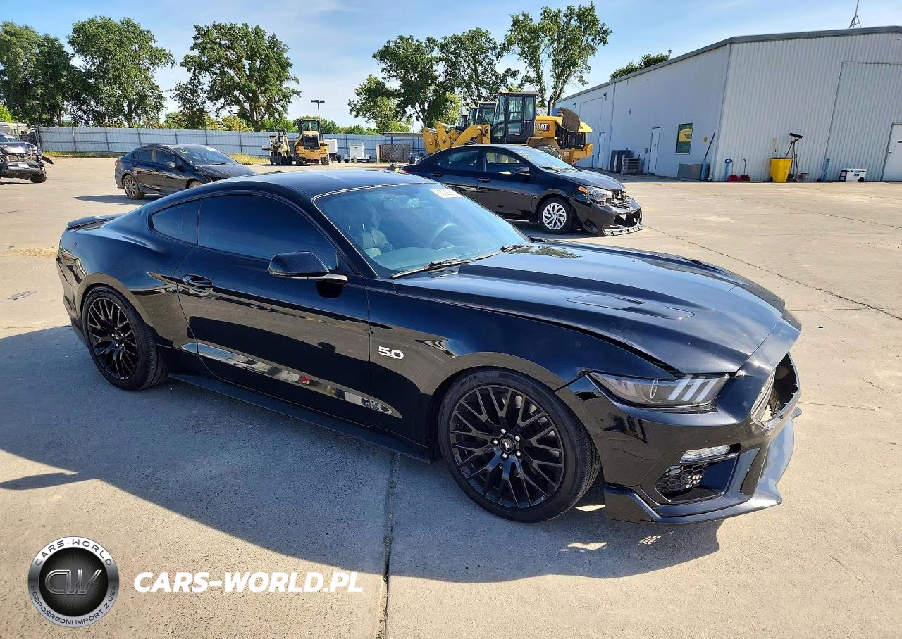 2017 Ford Mustang Gt VIN:1FA6P8CF0H5250587 - 4