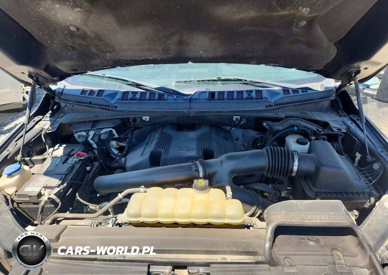 2020 Ford F150 Supercrew VIN:1FTFW1E42LFB16697 - 11