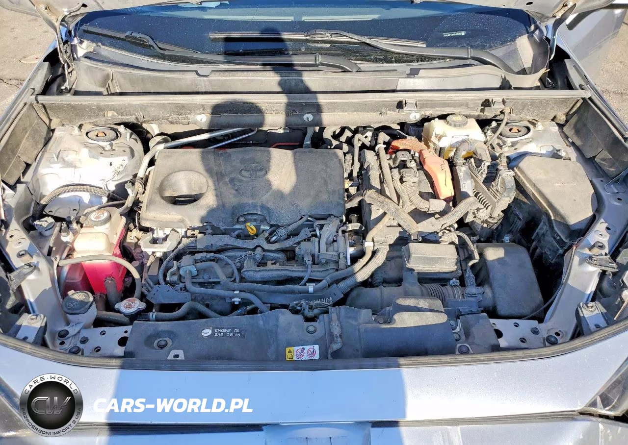 2019 Toyota Rav4 Le VIN:JTMLWRFV6KD023040 - 12