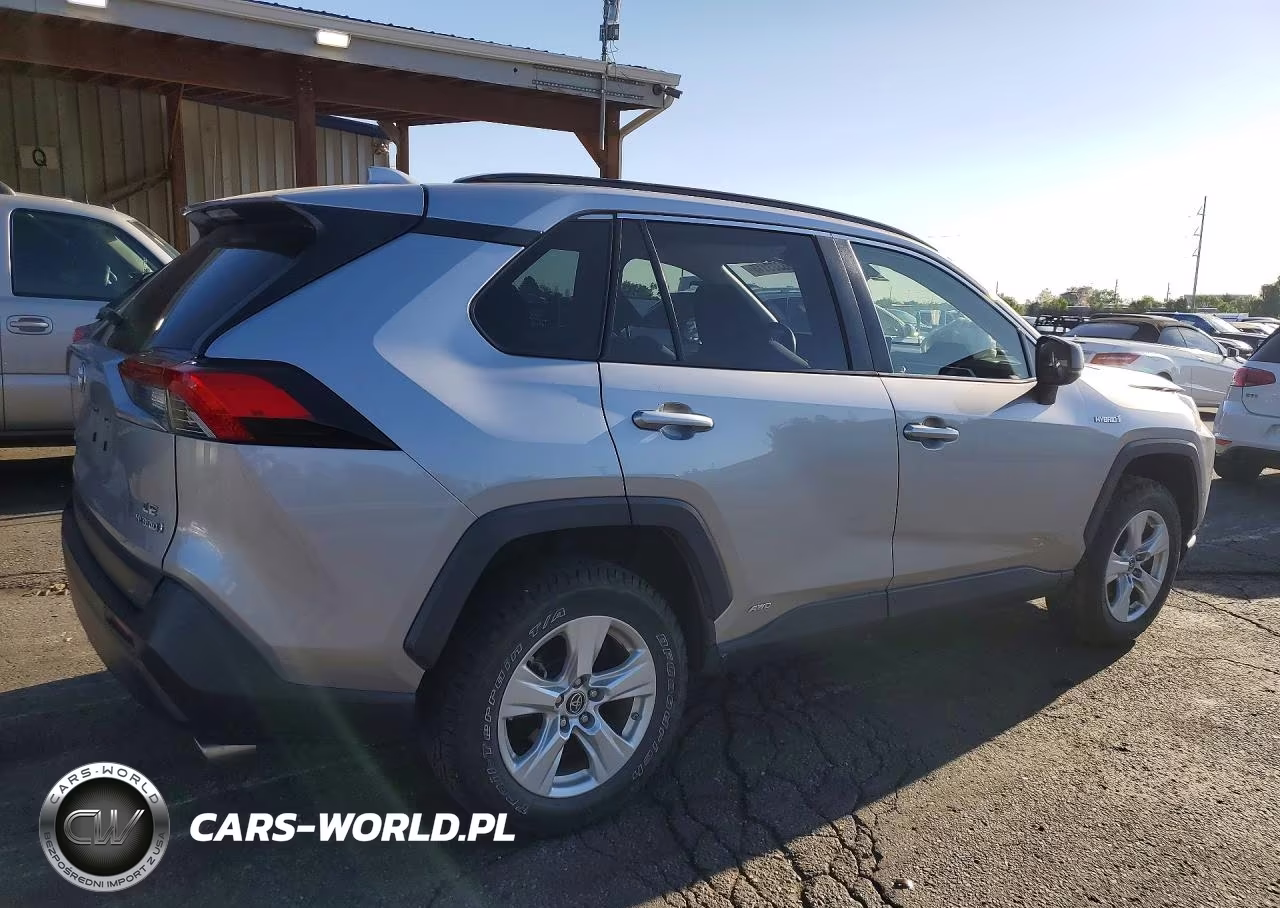 2019 Toyota Rav4 Le VIN:JTMLWRFV6KD023040 - 3