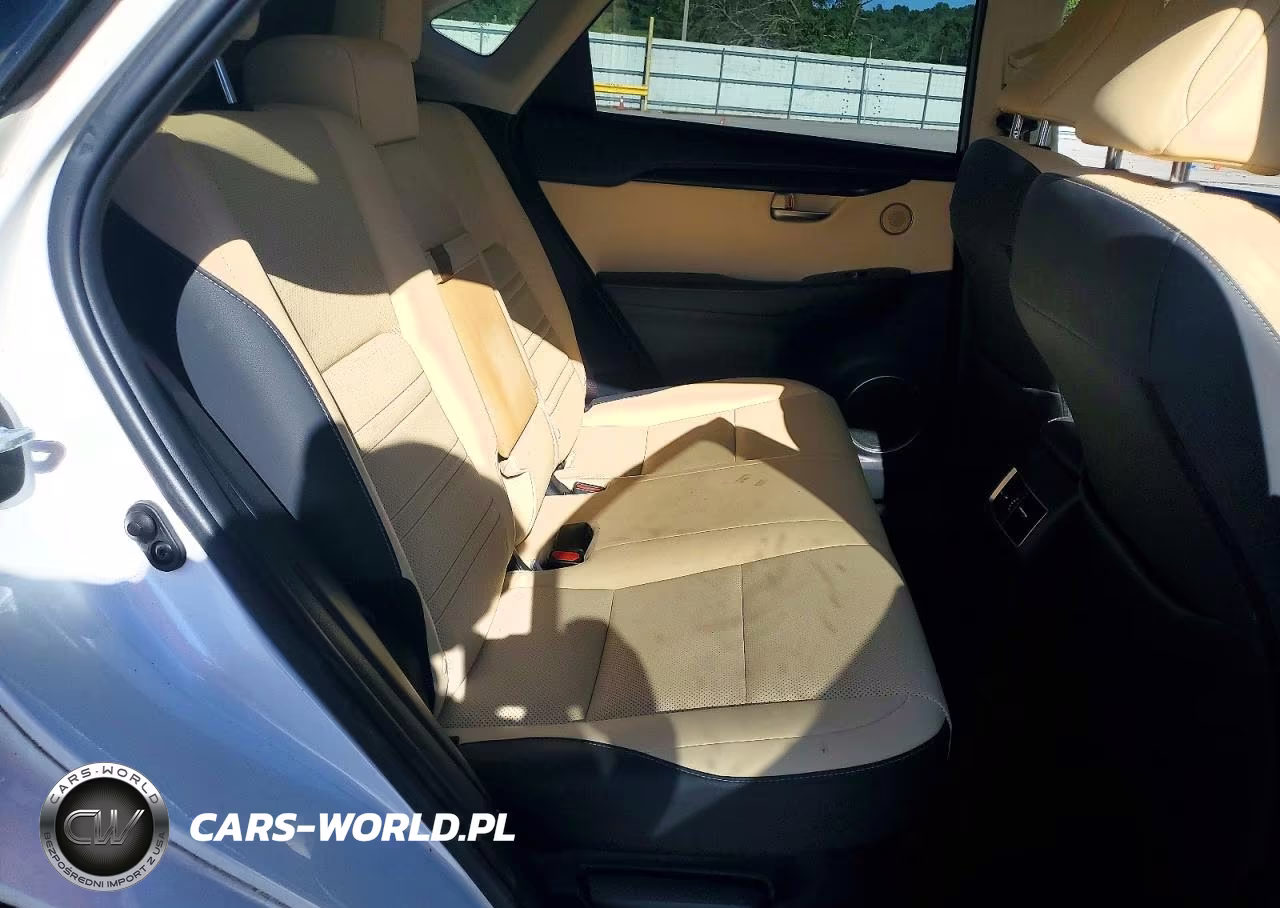2019 Lexus Nx 300H VIN:JTJBJRBZ2K2114706 - 11