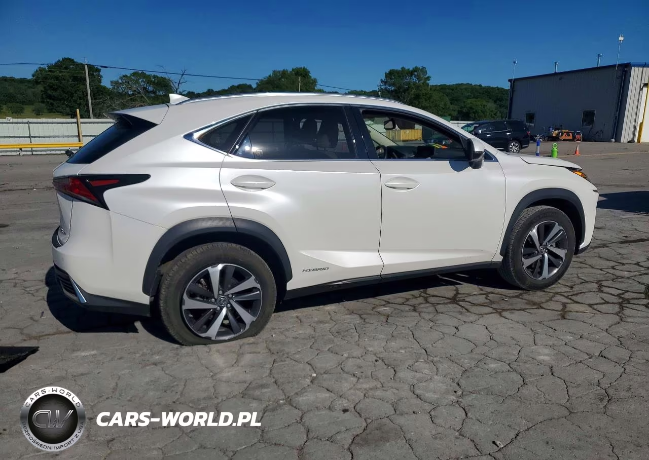 2019 Lexus Nx 300H VIN:JTJBJRBZ2K2114706 - 3