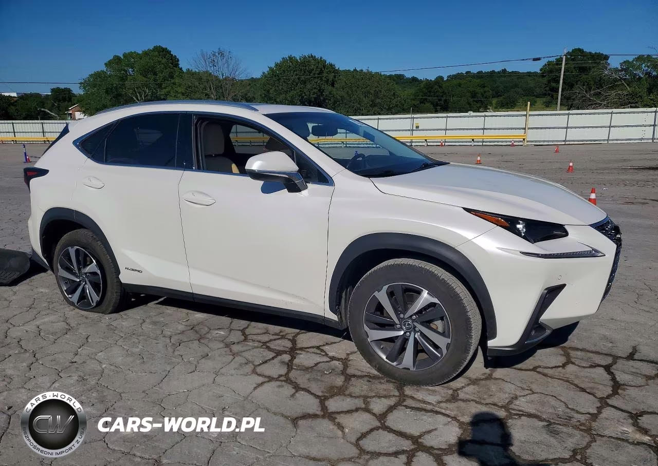2019 Lexus Nx 300H VIN:JTJBJRBZ2K2114706 - 4