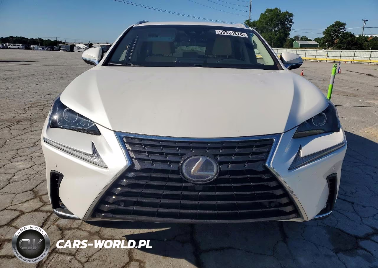 2019 Lexus Nx 300H VIN:JTJBJRBZ2K2114706 - 5