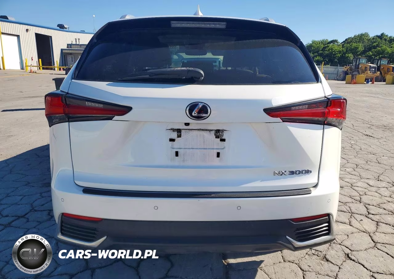 2019 Lexus Nx 300H VIN:JTJBJRBZ2K2114706 - 6