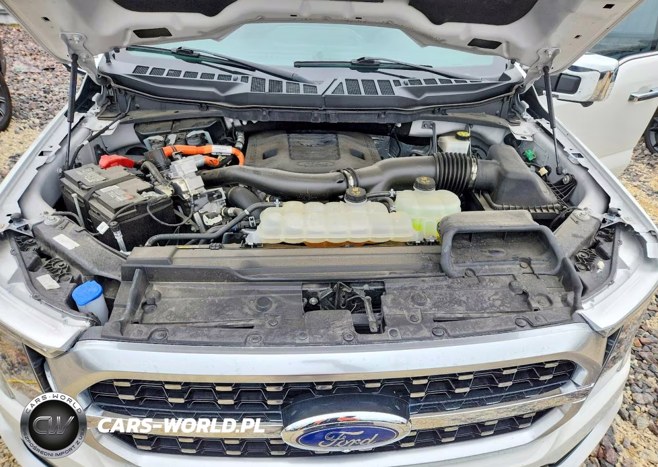 2023 Ford F150 Supercrew VIN:1FTFW1ED2PFB29424 - 11