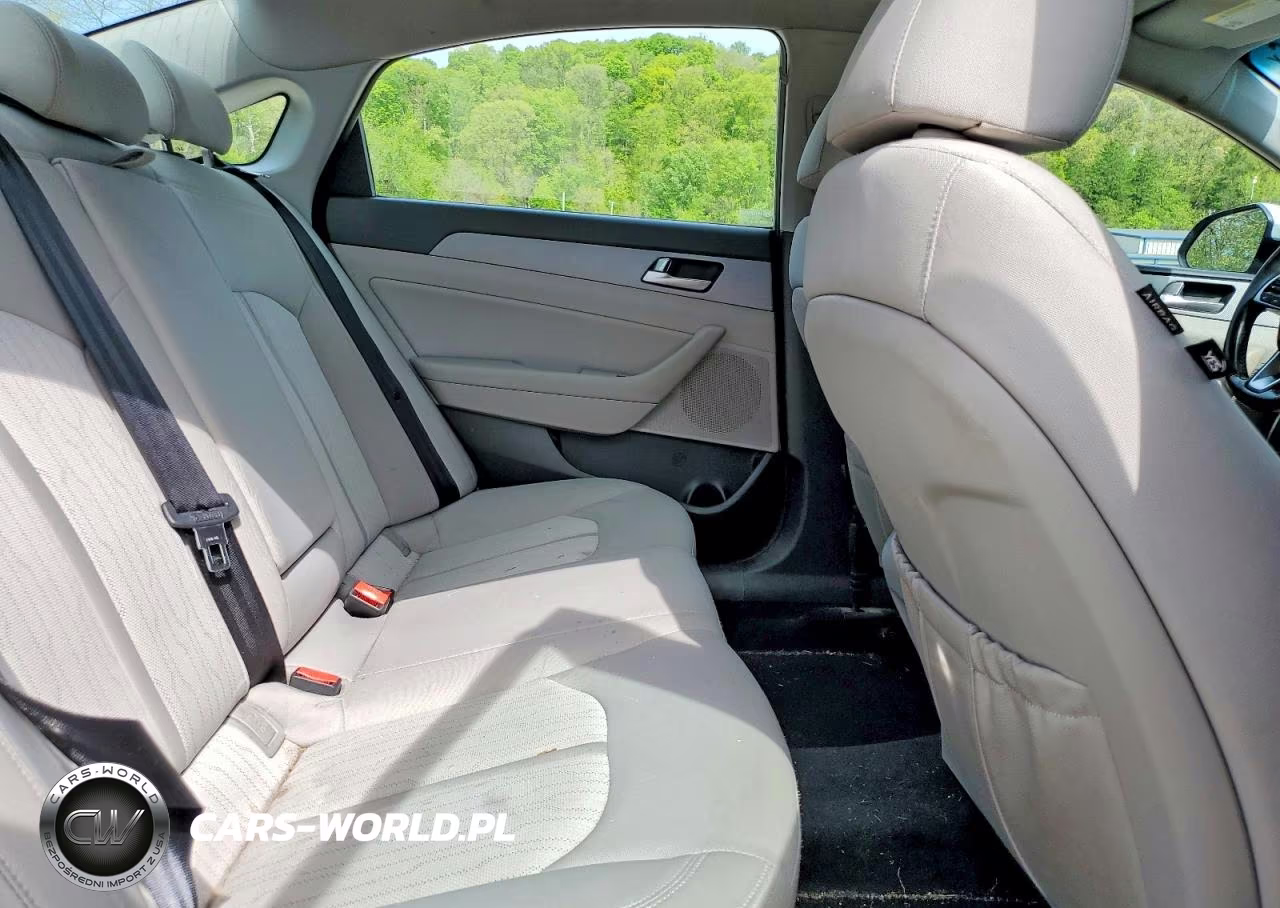 2018 Hyundai Sonata Hybrid Se VIN:KMHE24L3XJA087362 - 10