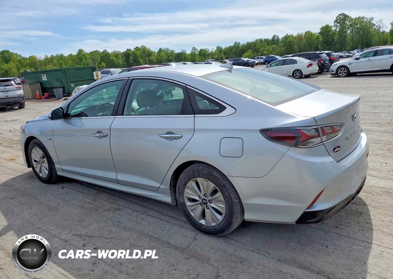 2018 Hyundai Sonata Hybrid Se VIN:KMHE24L3XJA087362 - 2