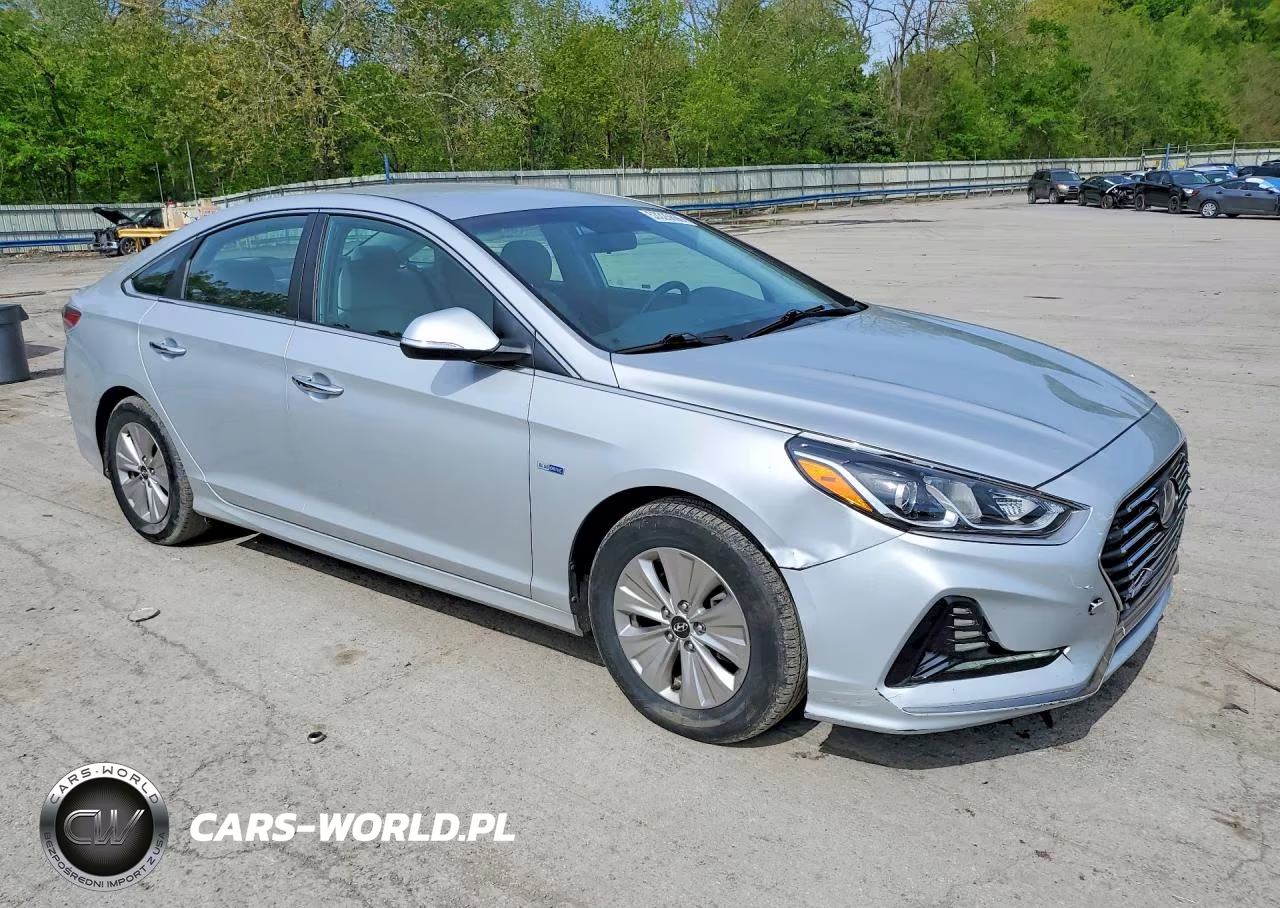 2018 Hyundai Sonata Hybrid Se VIN:KMHE24L3XJA087362 - 4
