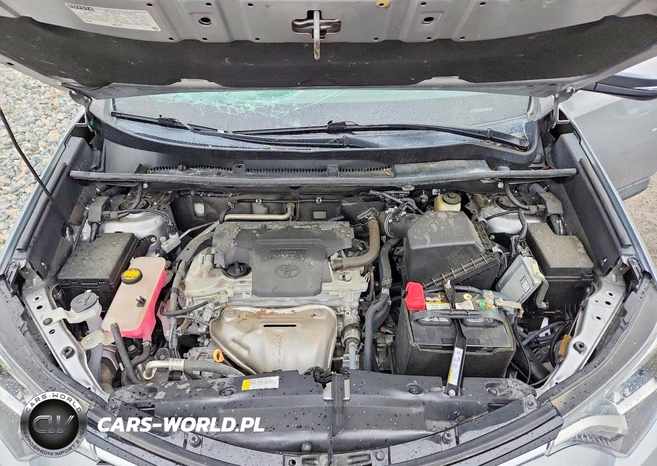 2017 Toyota Rav4 Xle VIN:2T3WFREV1HW343005 - 12