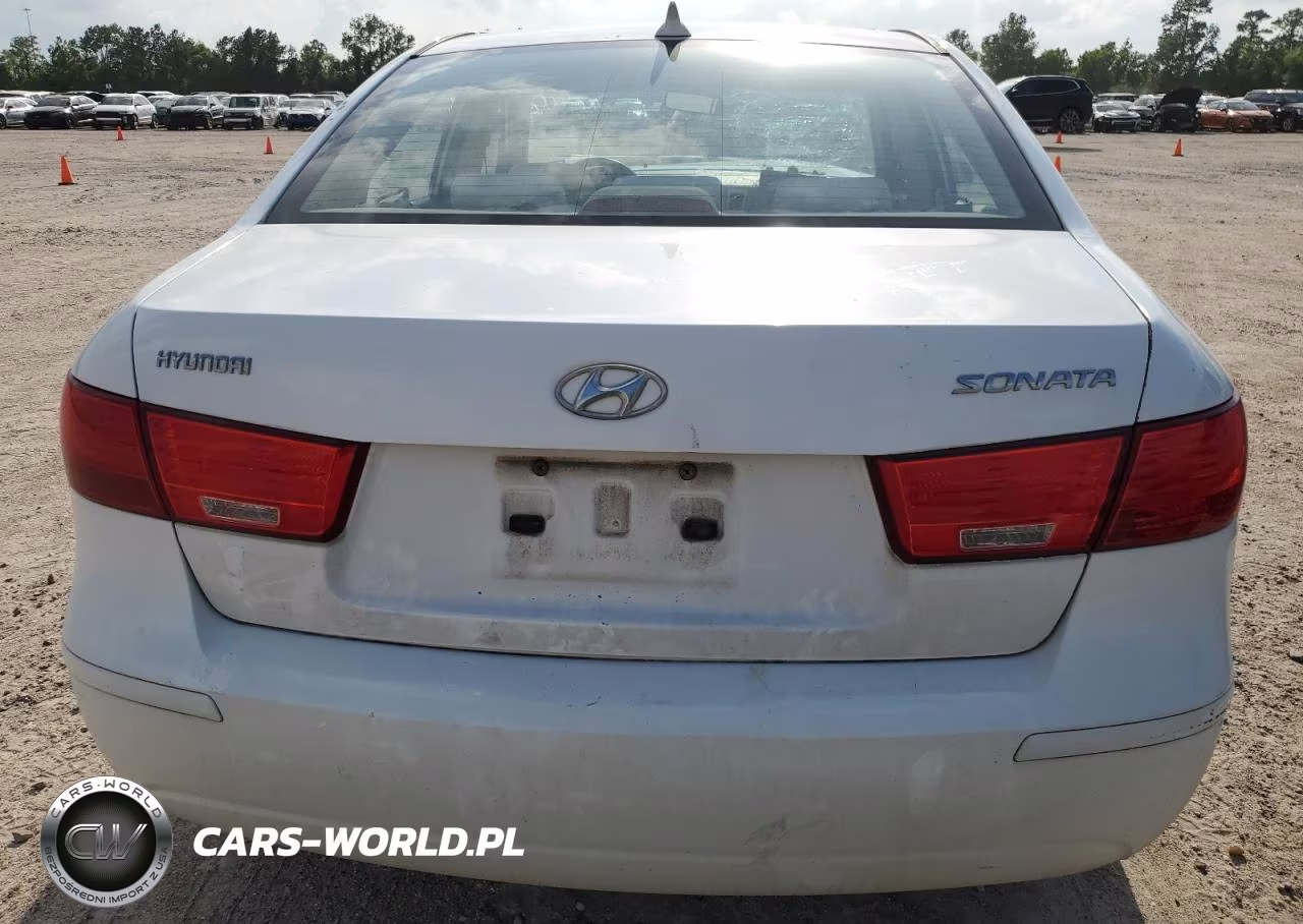 2010 Hyundai Sonata Gls VIN:5NPET4AC9AH585761 - 6