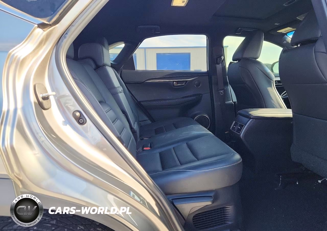2019 Lexus Nx 300 F Sport VIN:JTJYARBZ2K2119172 - 11