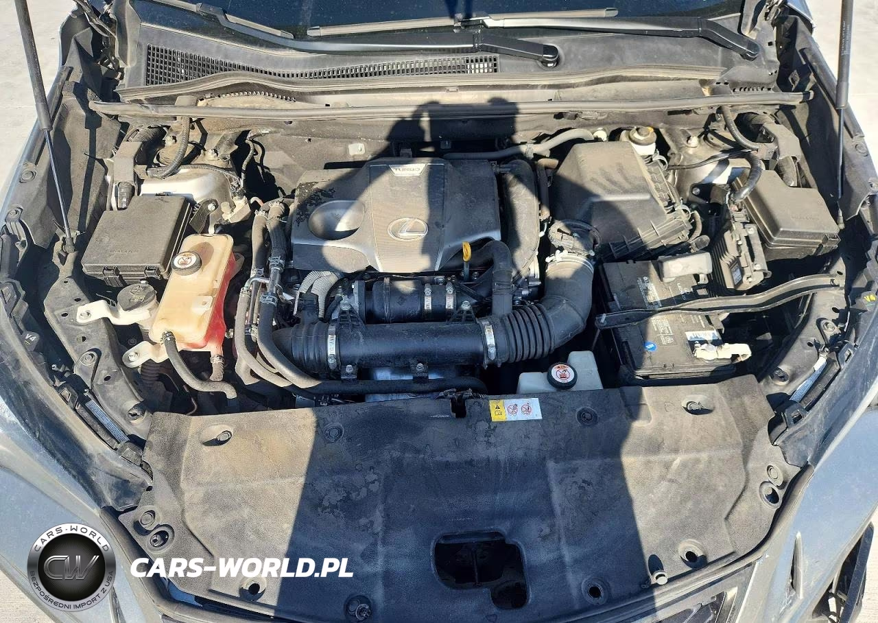 2019 Lexus Nx 300 F Sport VIN:JTJYARBZ2K2119172 - 12