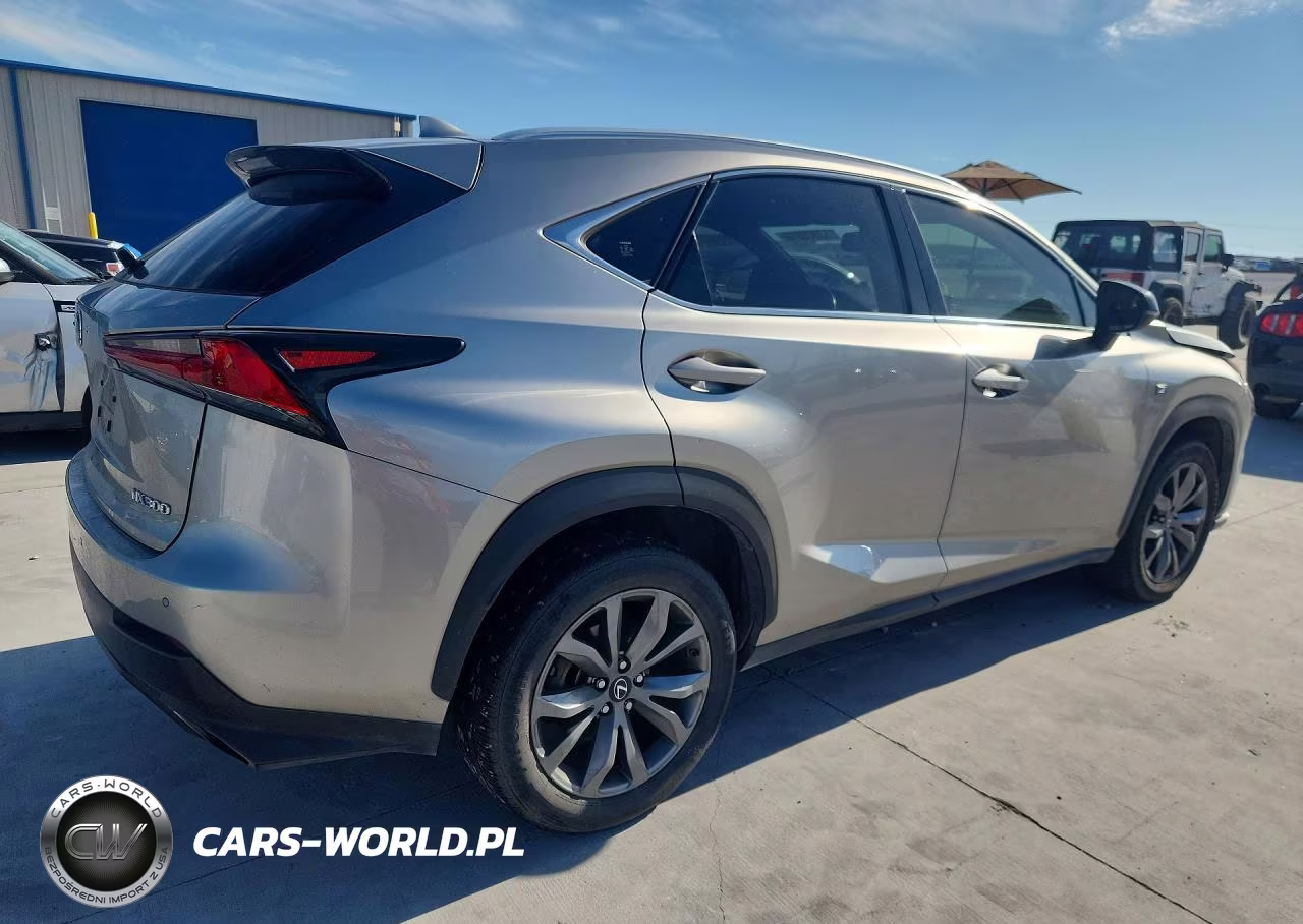 2019 Lexus Nx 300 F Sport VIN:JTJYARBZ2K2119172 - 3