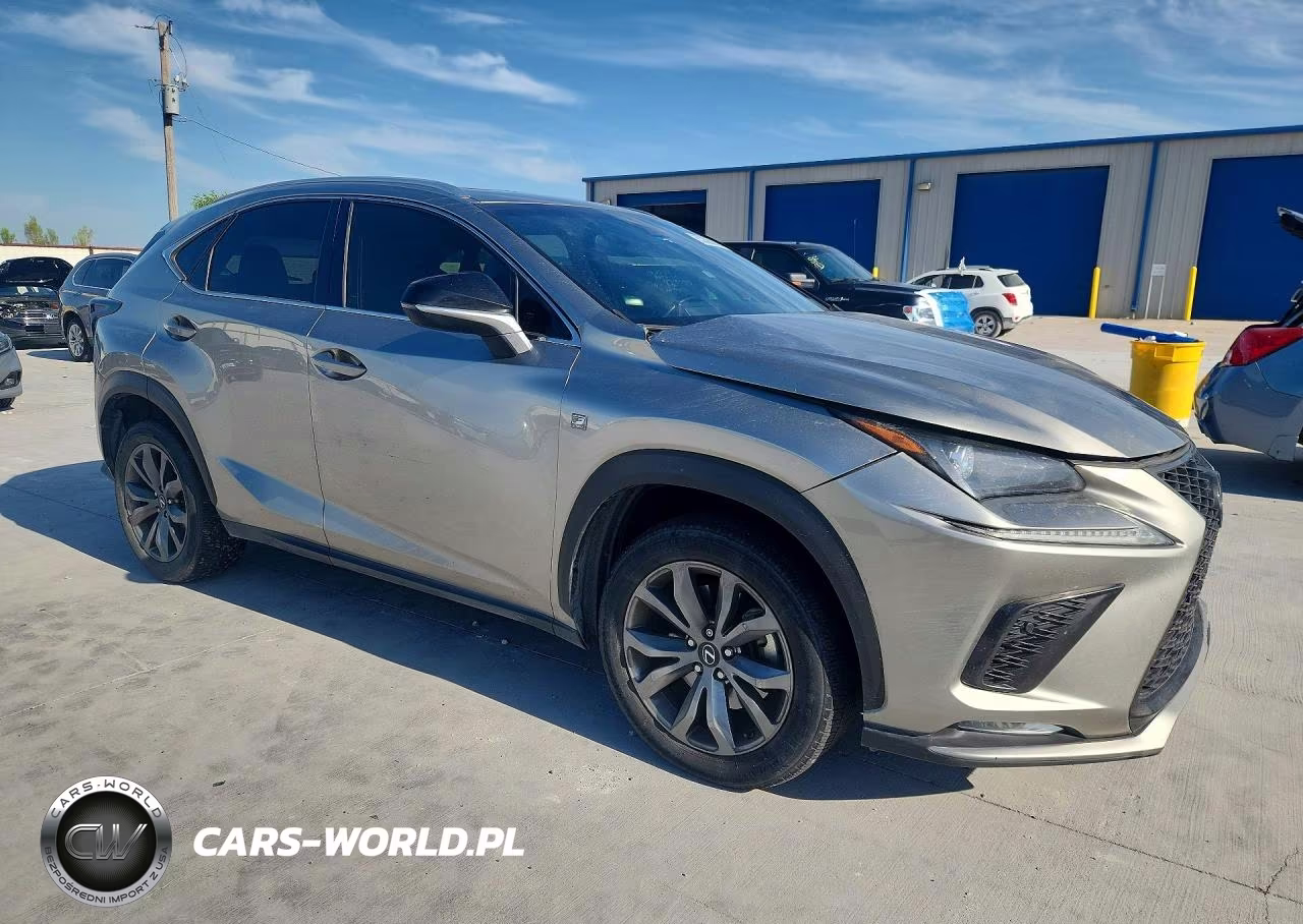 2019 Lexus Nx 300 F Sport VIN:JTJYARBZ2K2119172 - 4