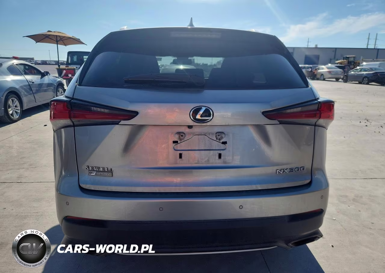 2019 Lexus Nx 300 F Sport VIN:JTJYARBZ2K2119172 - 6