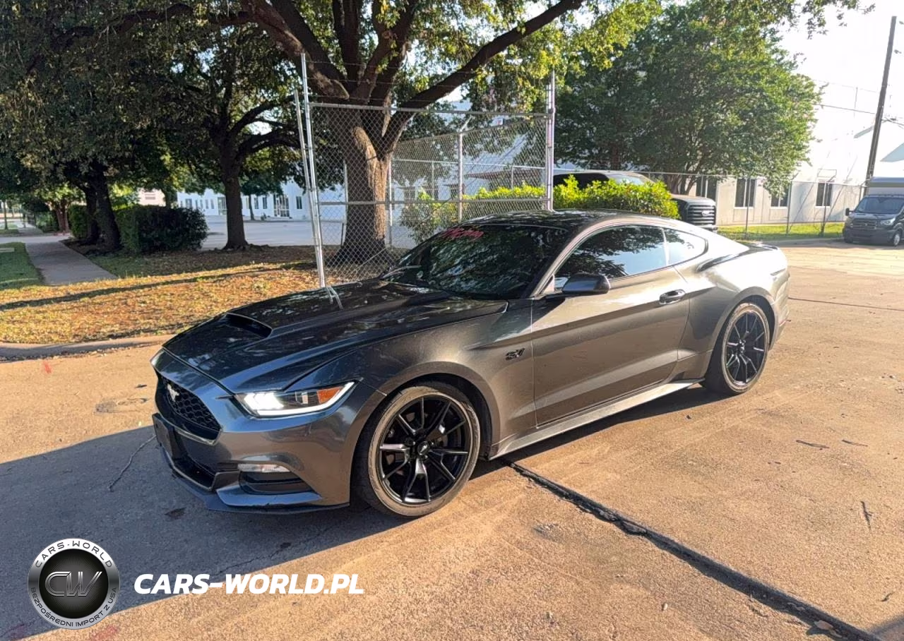2017 Ford Mustang VIN:1FA6P8AM4H5340049 - 2