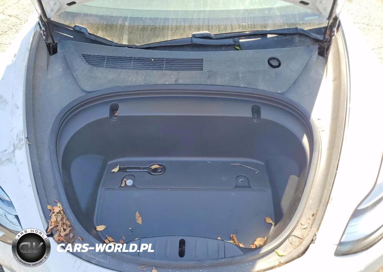 2020 Tesla Model 3 VIN:5YJ3E1EC4LF624428 - 11