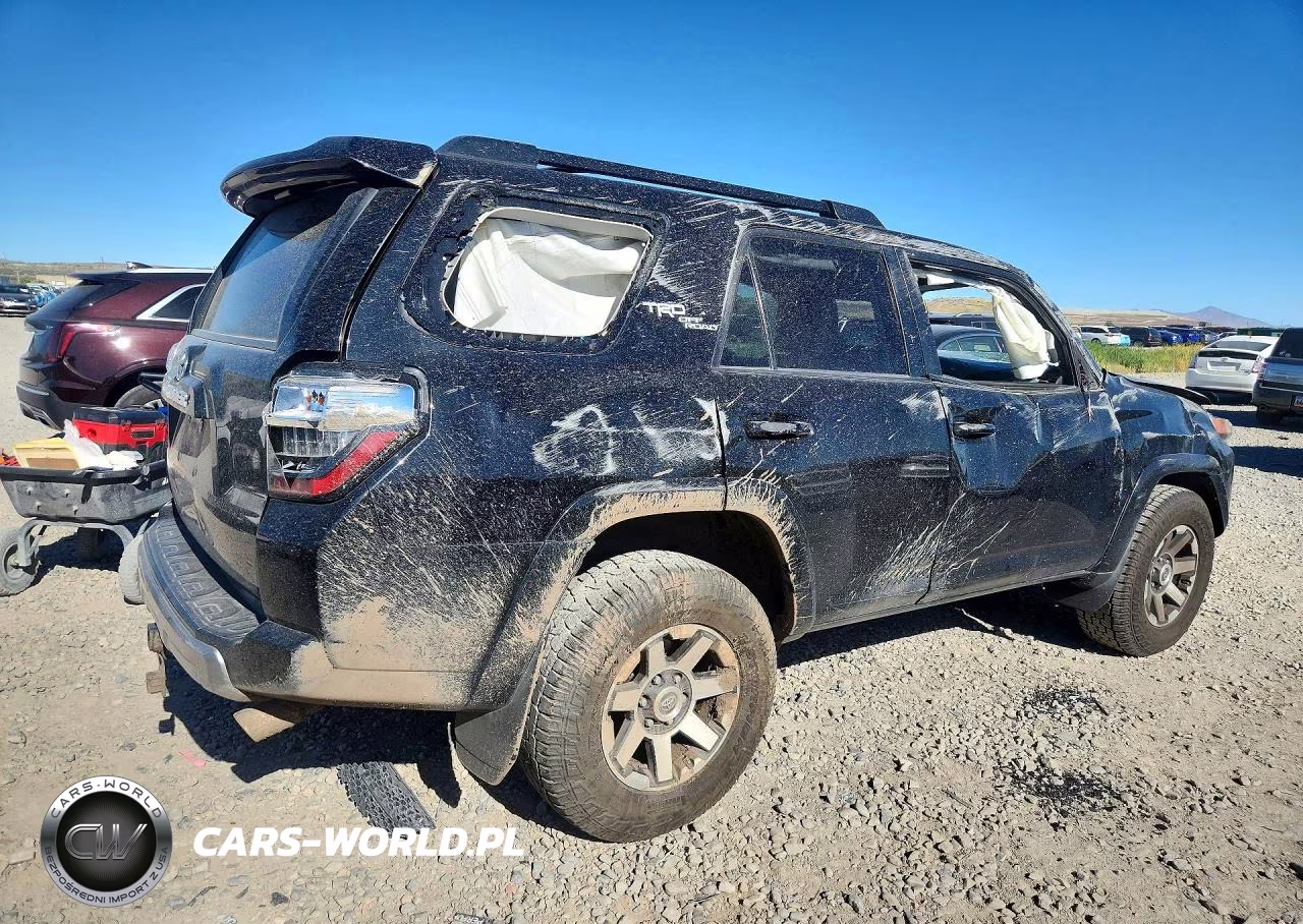 2019 Toyota 4Runner Trd Off-Road Premium VIN:JTEBU5JR5K5720581 - 3