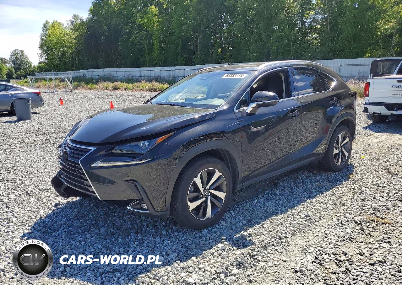 2019 Lexus Nx 300H