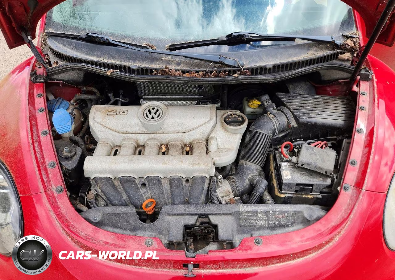 2007 Volkswagen New Beetle 2.5L Option Package 1 VIN:3VWRG31C67M519572 - 11