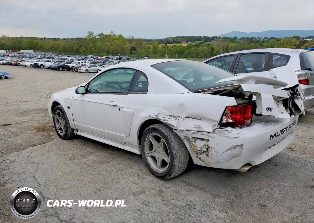 2001 Ford Mustang Gt VIN:1FAFP42X61F259698 - 2