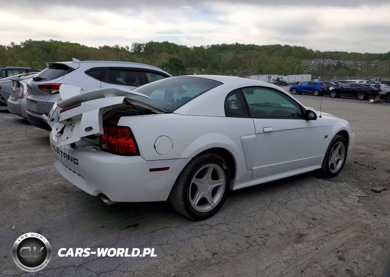 2001 Ford Mustang Gt VIN:1FAFP42X61F259698 - 3