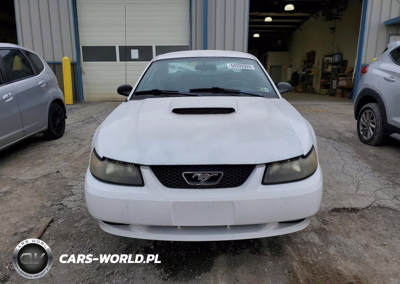 2001 Ford Mustang Gt VIN:1FAFP42X61F259698 - 5