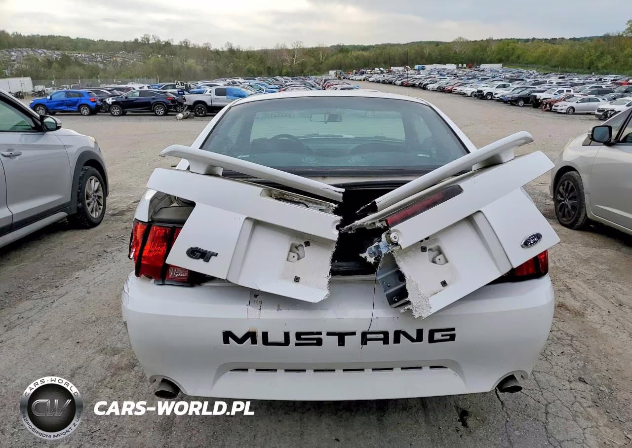 2001 Ford Mustang Gt VIN:1FAFP42X61F259698 - 6