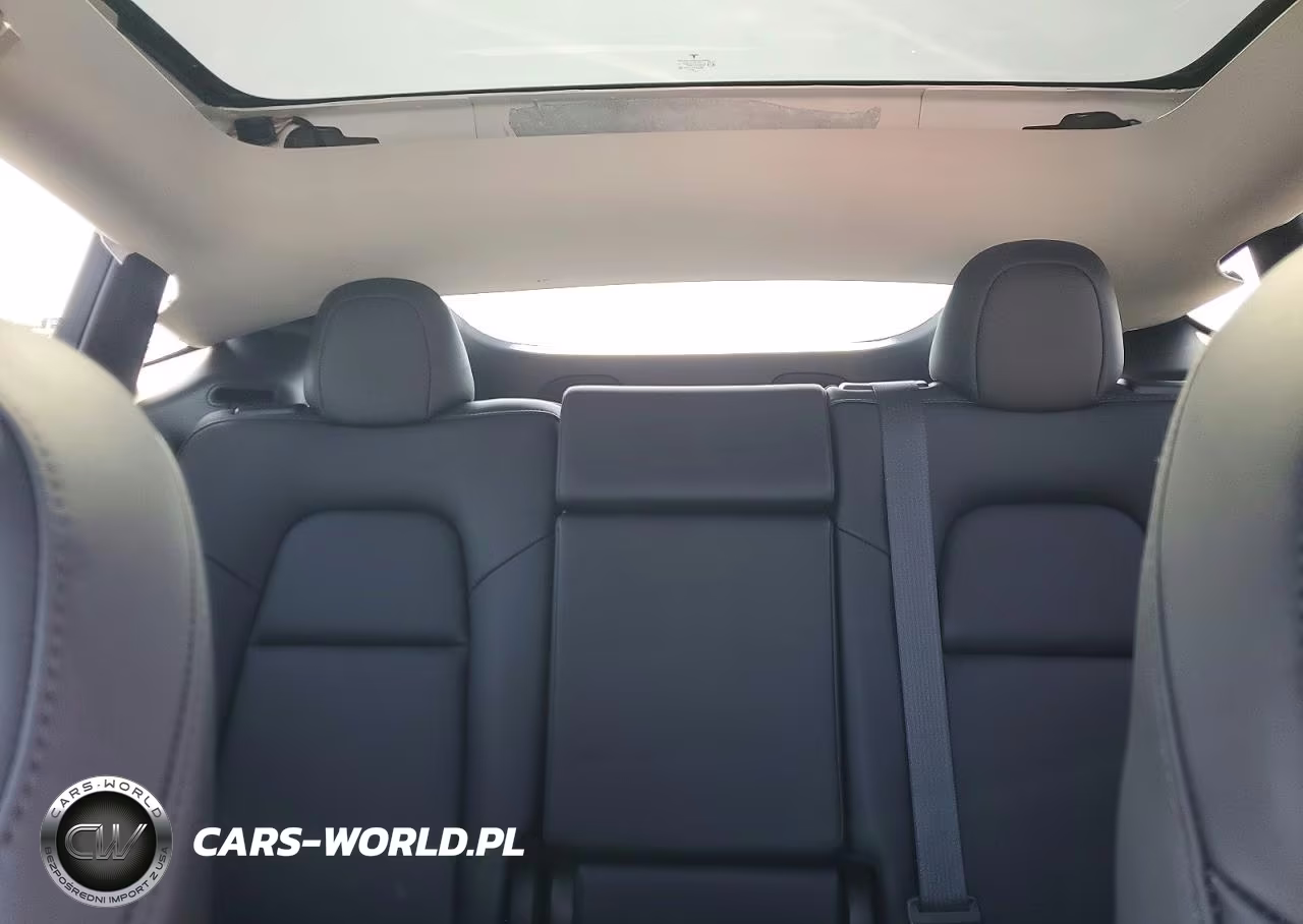 2023 Tesla Model Y VIN:7SAYGDEF8PF924297 - 10