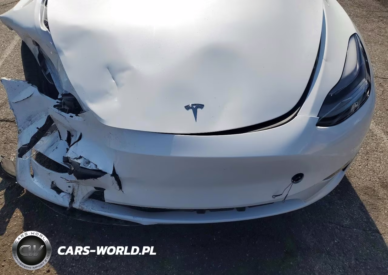 2023 Tesla Model Y VIN:7SAYGDEF8PF924297 - 12