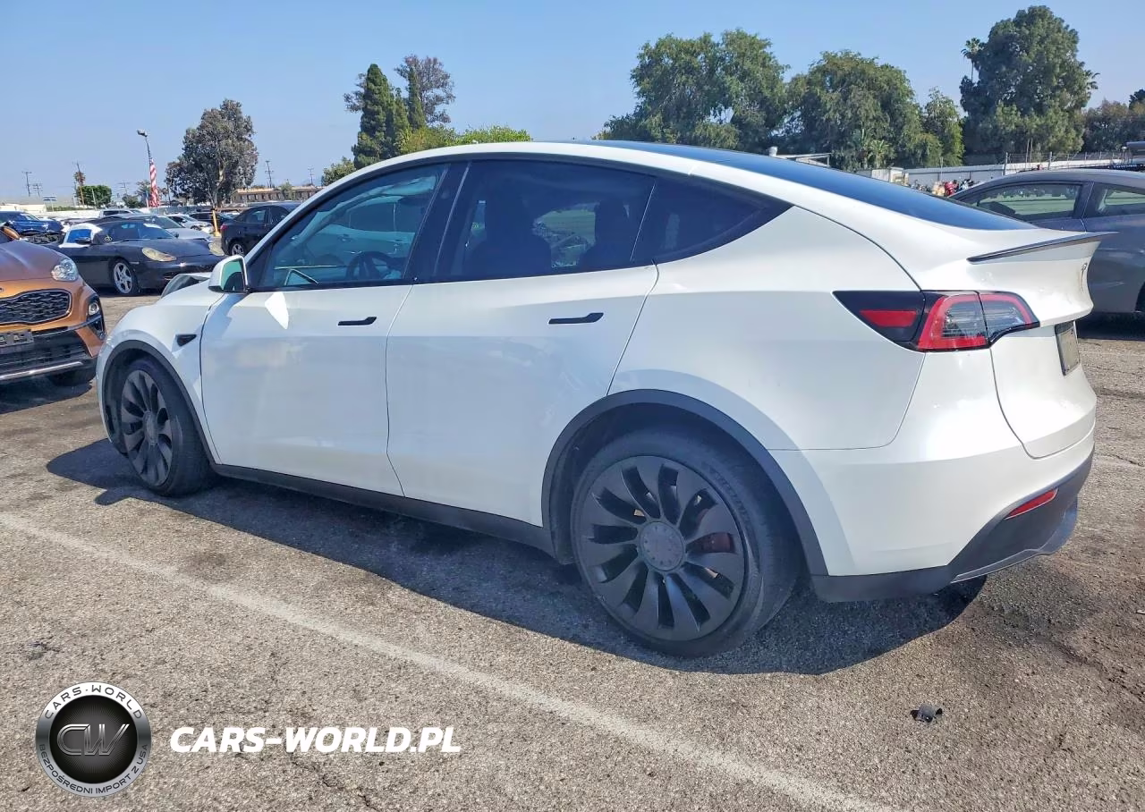 2023 Tesla Model Y VIN:7SAYGDEF8PF924297 - 2