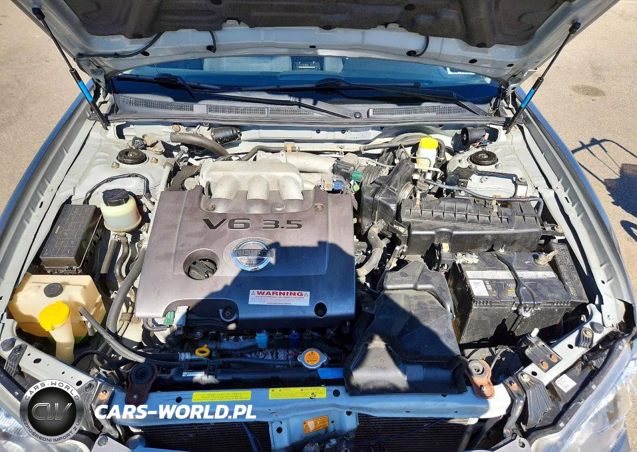 2003 Nissan Maxima Gxe VIN:JN1DA31D43T525327 - 11