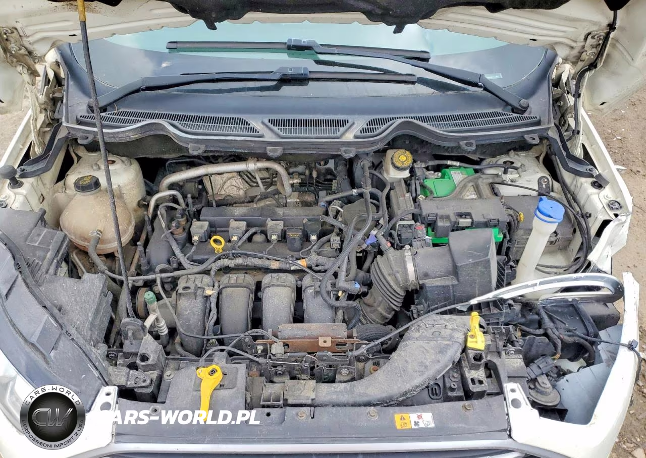 2020 Ford Ecosport Se VIN:MAJ6S3GLXLC356454 - 12