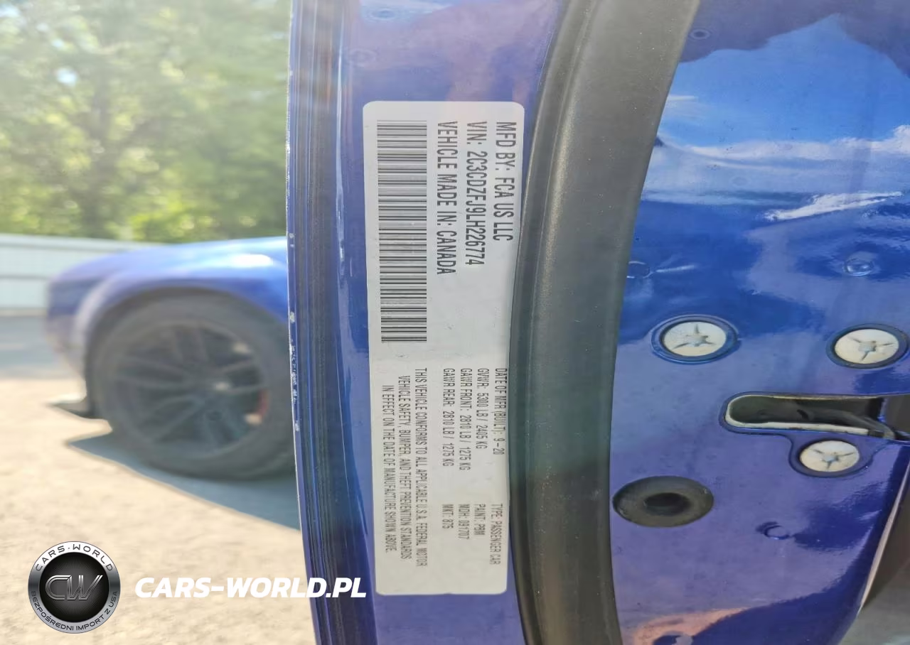 2020 Dodge Challenger R VIN:2C3CDZFJ9LH226774 - 12
