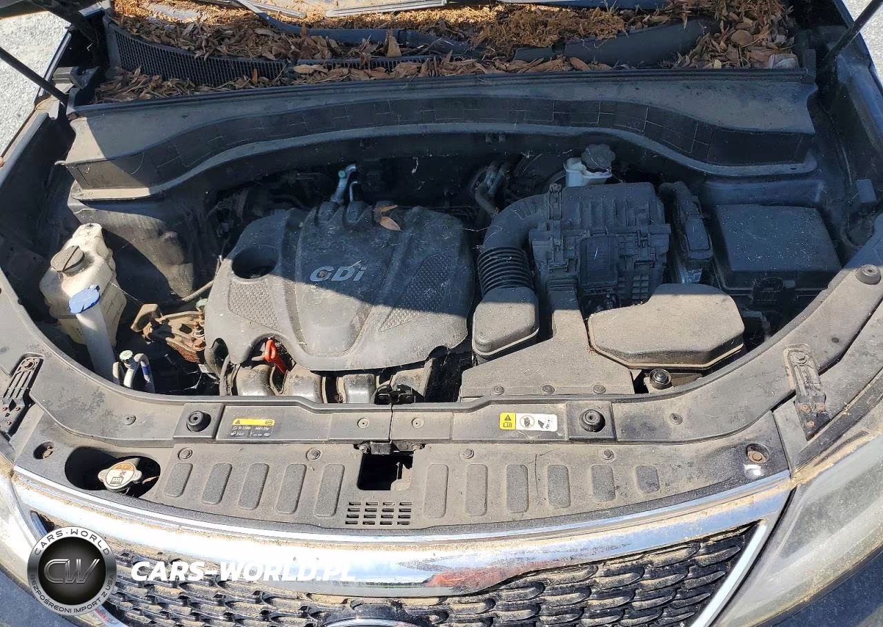 2015 Kia Sorento Lx VIN:5XYKT3A67FG622229 - 12