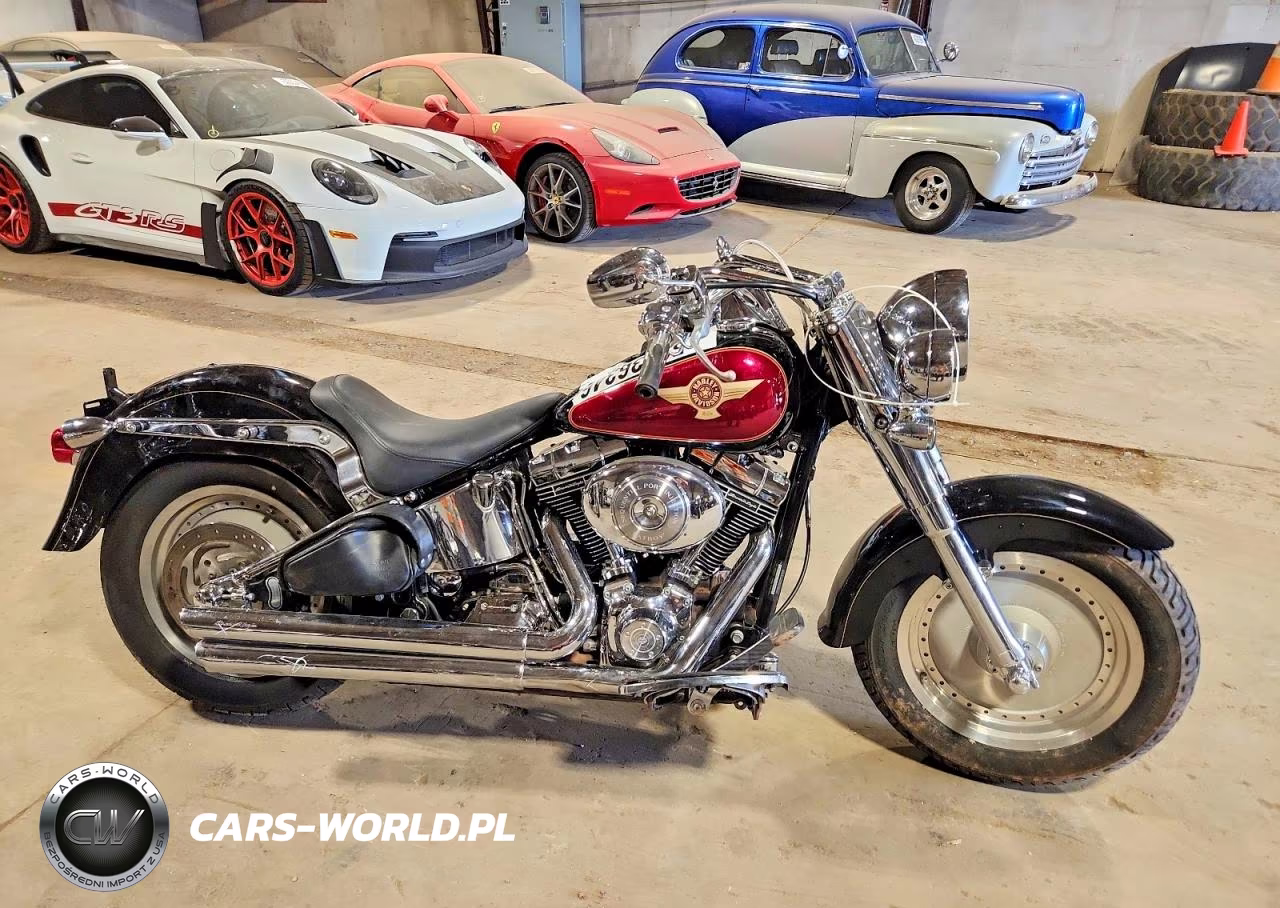 2005 Harley-Davidson Flstfi