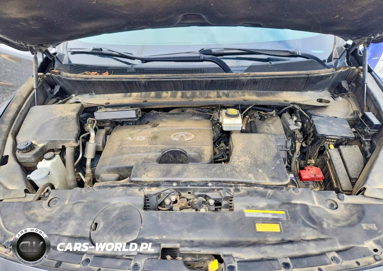 2019 Infiniti Qx60 Pure VIN:5N1DL0MN0KC529248 - 12