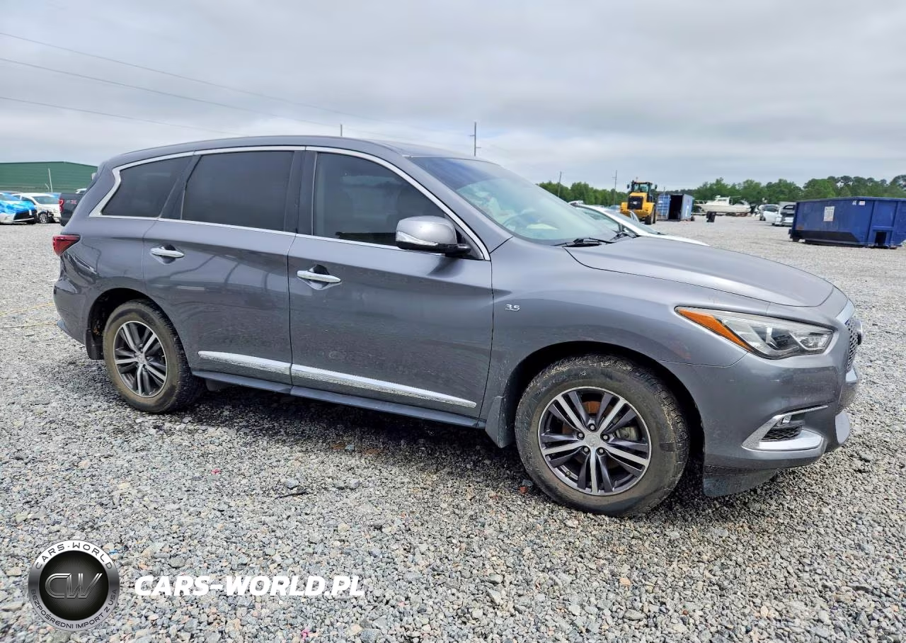 2019 Infiniti Qx60 Pure VIN:5N1DL0MN0KC529248 - 4