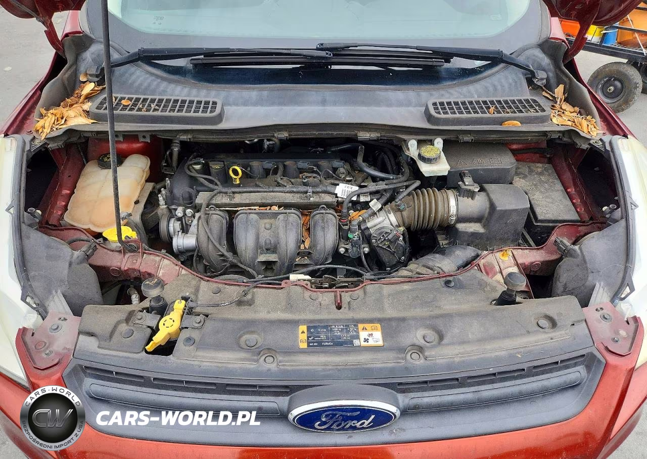 2016 Ford Escape S VIN:1FMCU0F75GUA60893 - 11