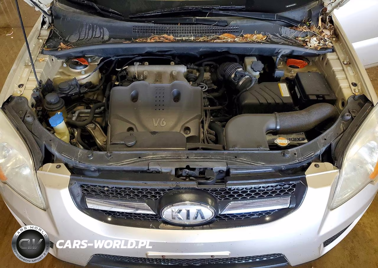 2010 Kia Sportage Lx VIN:KNDKGCA34A7667385 - 12